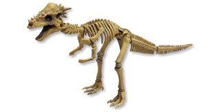 Illustration for article titled Have Your Own Night at the Museum With Fully Posable Dino Skeletons